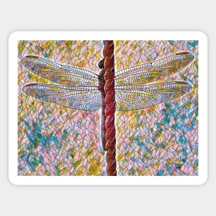 Dragonfly with outstretched Wings Sticker